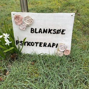 Opslagsbillede