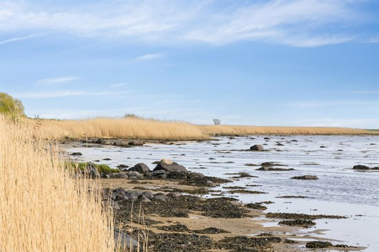 Top 6 over dyreste boliger til salg i Juelsminde. Priser op til 25.000.000 kr