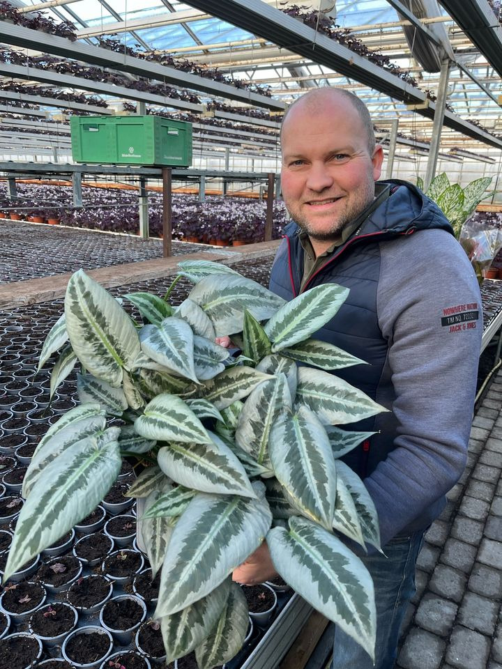 Det nyeste på Horsens’ opslagstavle