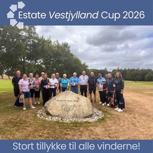 opslagsbillede
