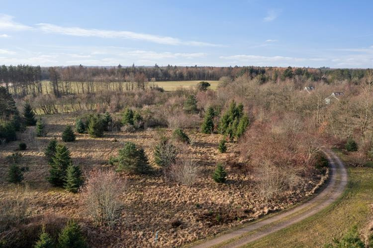 Opdatér dig her: Det nyeste fra Holstebro