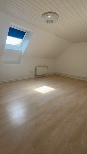 opslagsbillede