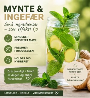 opslagsbillede