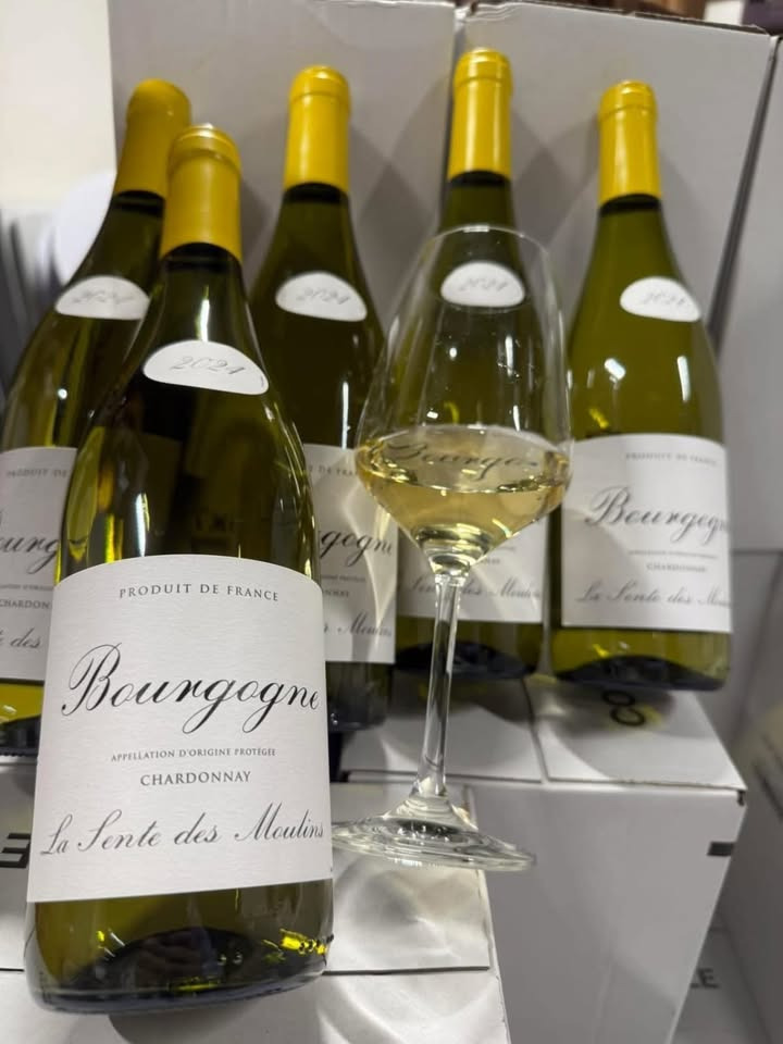 Meny Hobro lancerer historisk pris på hvid Bourgogne: Spar 53% i vinafdelingen i weekenden