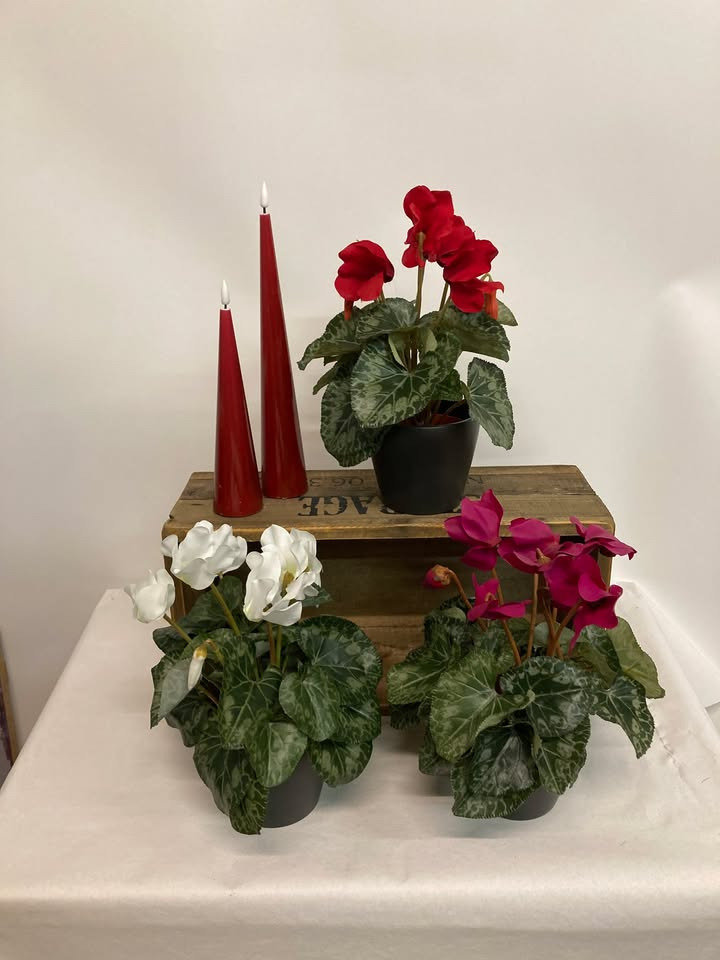 Hilmars ApS tilbyder kunstige alpevioler i tre farver til 169,-