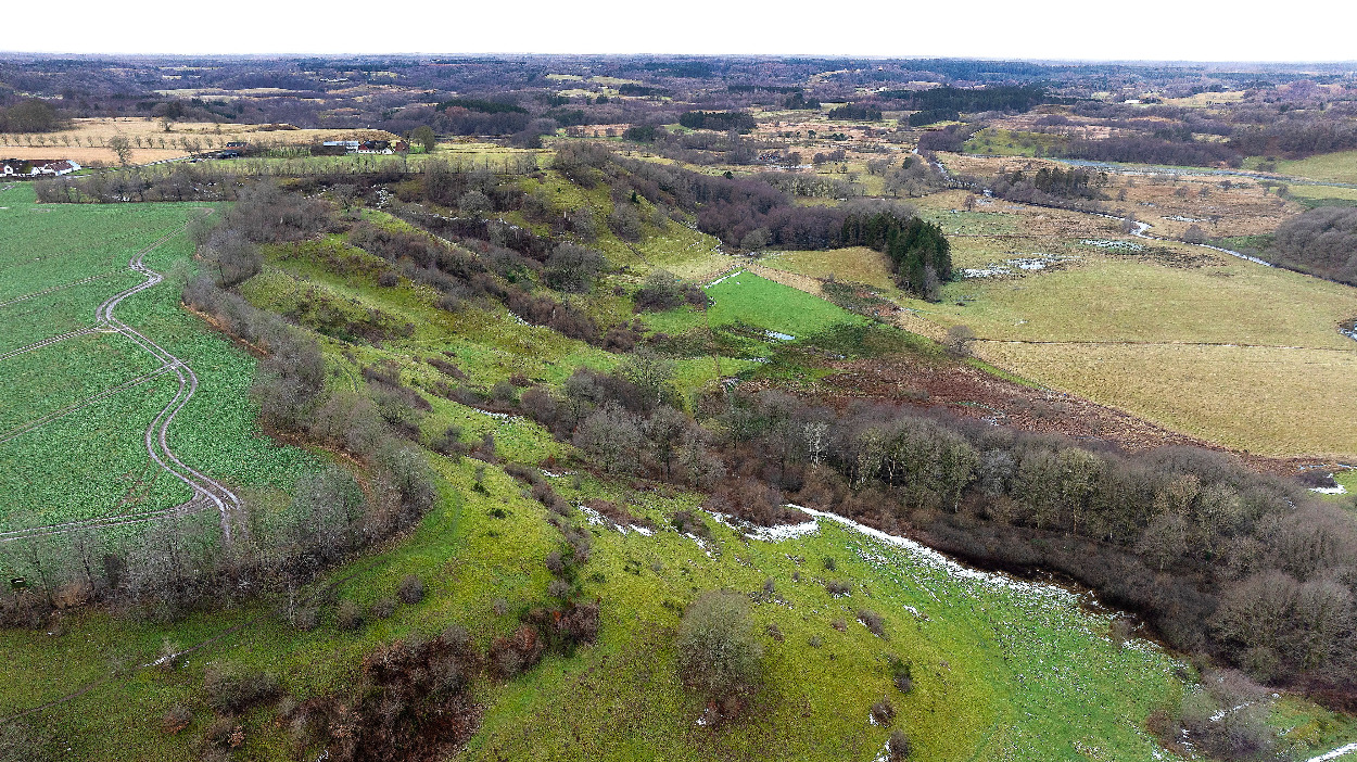 Nyt naturområde styrker biodiversiteten i Vejle Ådal 