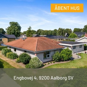 opslagsbillede