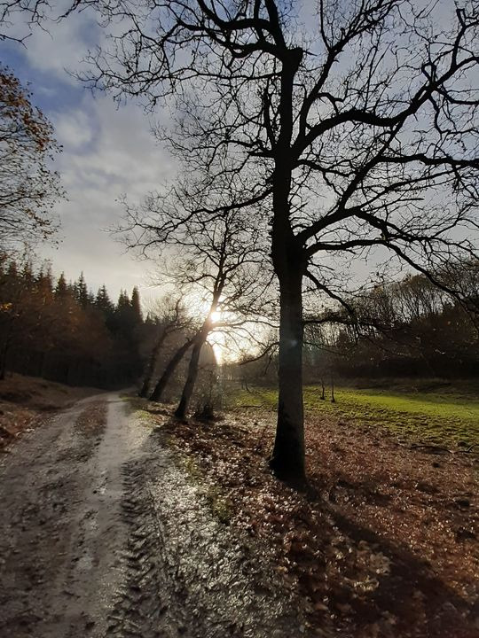 Det nyeste på Hammels opslagstavle