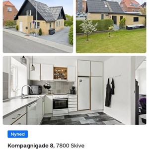 Opslagsbillede
