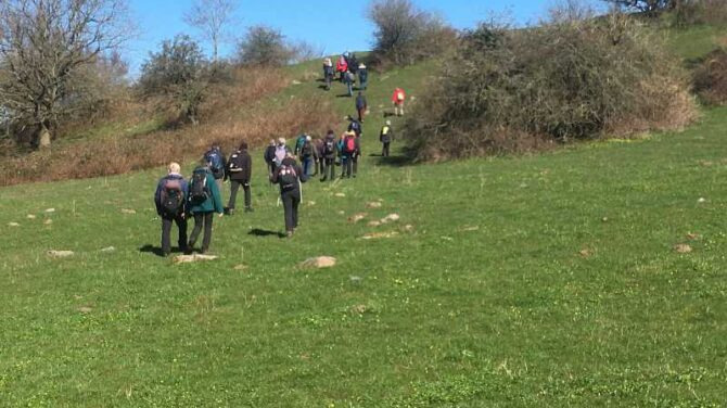 Vandretur gennem skove og åbent land ved Jyderup