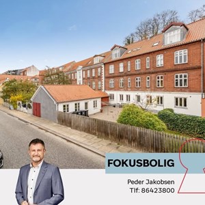 Opslagsbillede