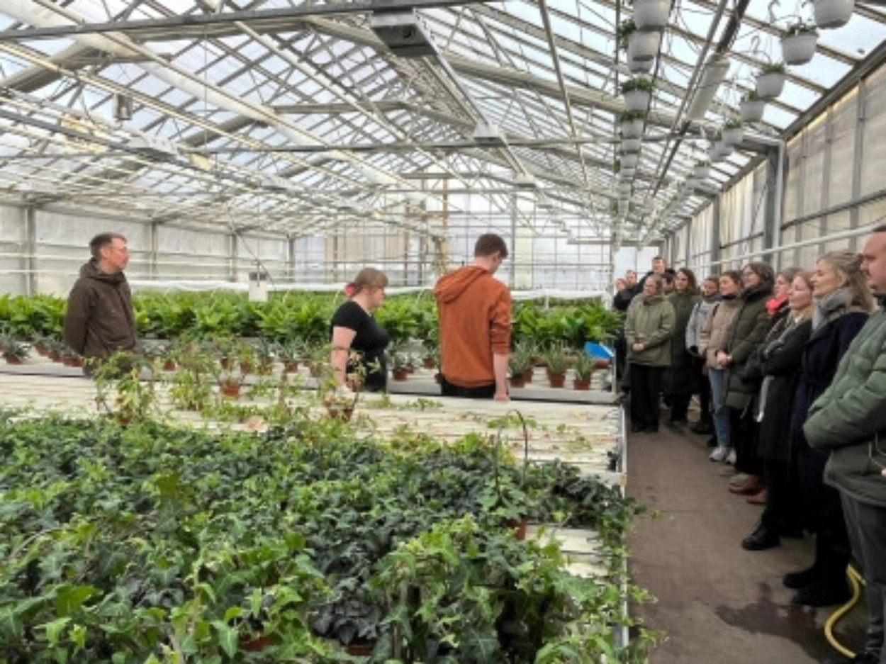 Udskolingslærere henter viden hos fire ungdomsuddannelser