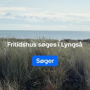 Opslagsbillede