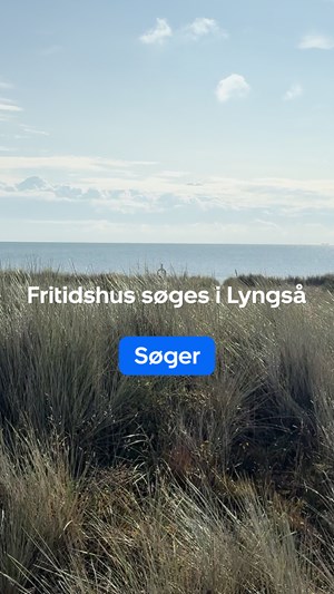 opslagsbillede