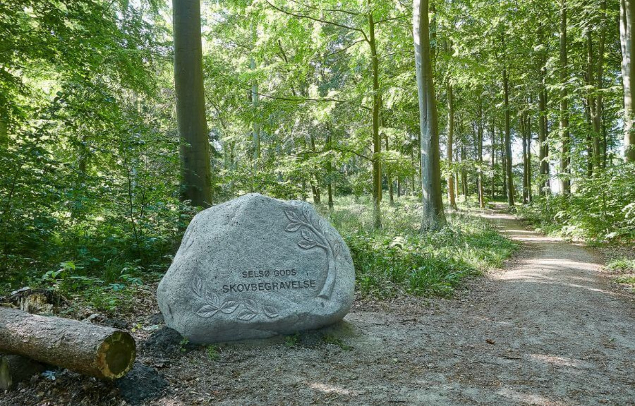 Selsø Skovbegravelsesplads sørger for en begravelse i harmoni med naturen