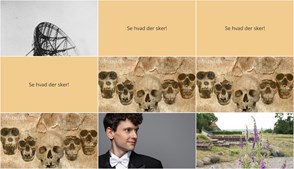 Ugens begivenheder i Ry: Foredrag, musik og historiske indsigter