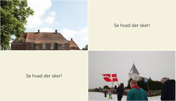 Oplevelser i Gram: Historisk rundvisning og spejderparade