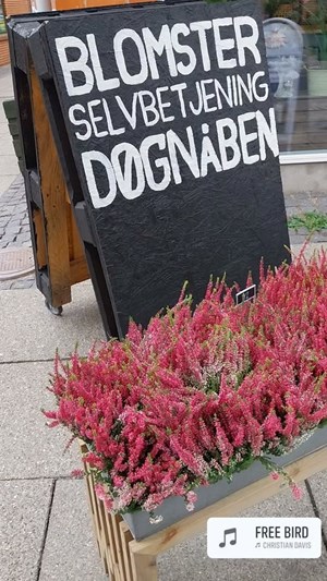 opslagsbillede