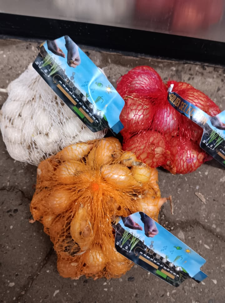 Løvbjerg Frederikshavn lancerer tilbud på sætteløg med stor besparelse