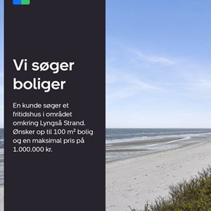 Opslagsbillede