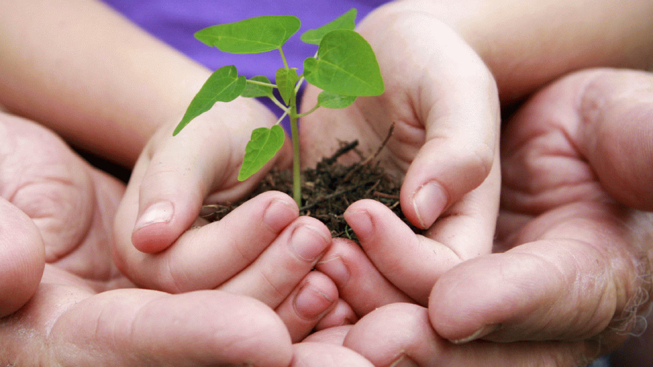Oplev en inspirerende uge i Kulturhuset Skanderborg