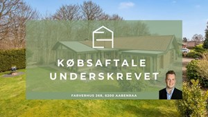 opslagsbillede