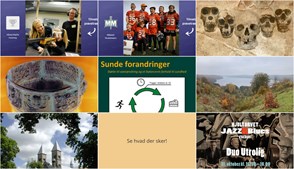 Oplevelser i Viborg: Foredrag, musik og sport i den kommende uge