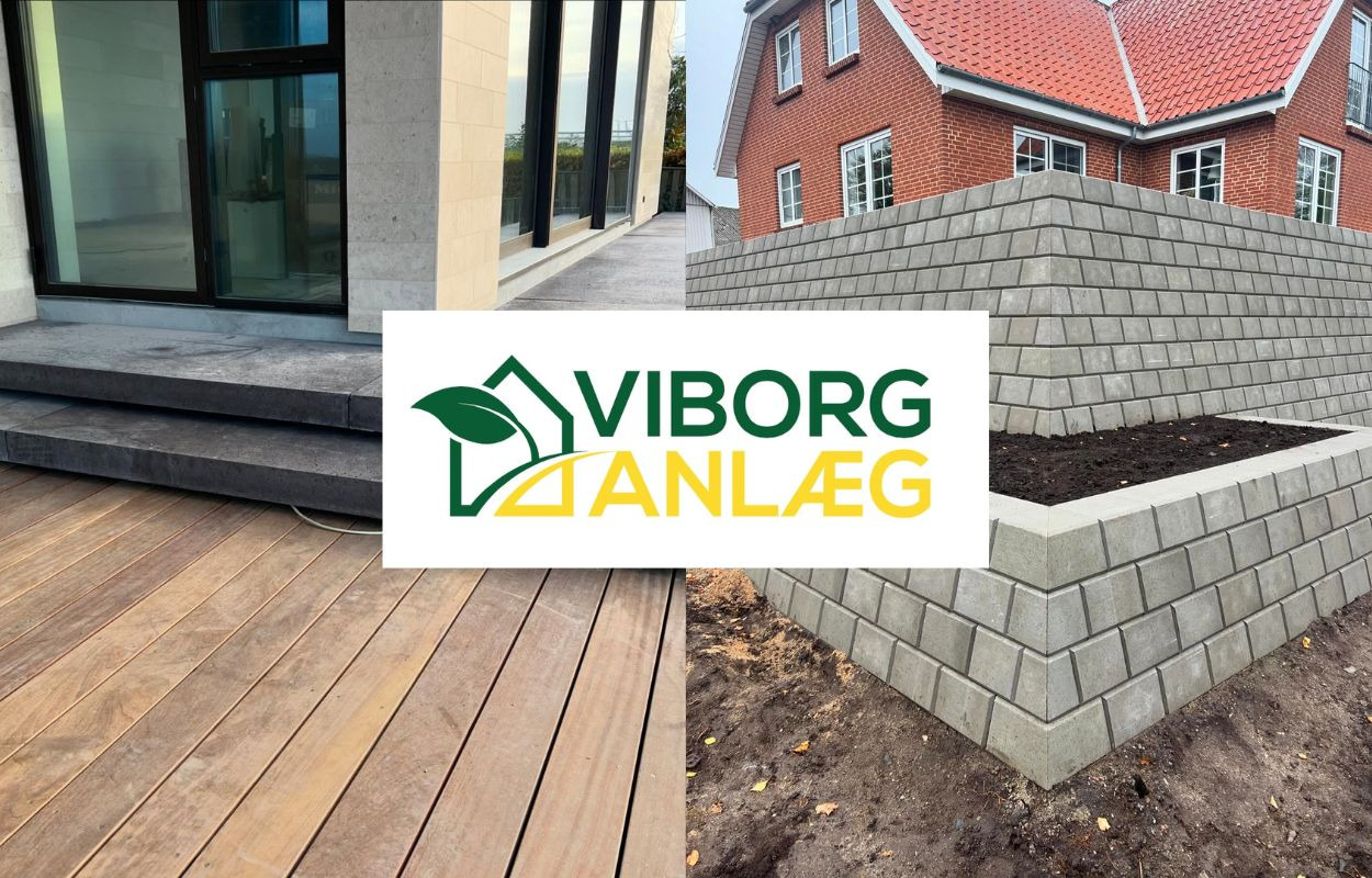 Bag om Viborg Anlæg: Fra drøm til succes