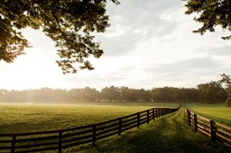 At på bo landet betyder ikke dårligt naboskab