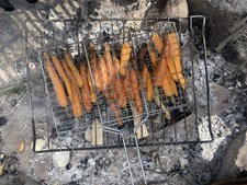 Økologisk grillmiddag i Godis Grønts drivhus