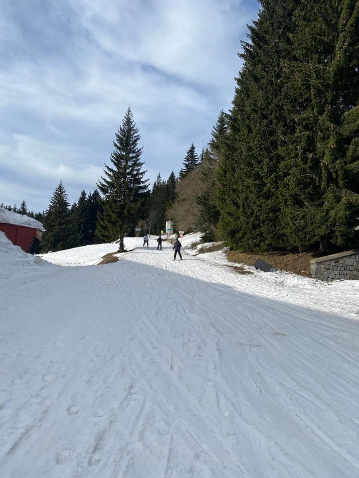En finger på pulsen i Horsens