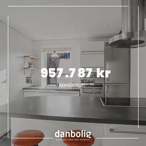 opslagsbillede