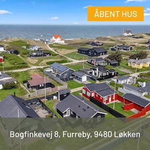 opslagsbillede