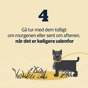 opslagsbillede