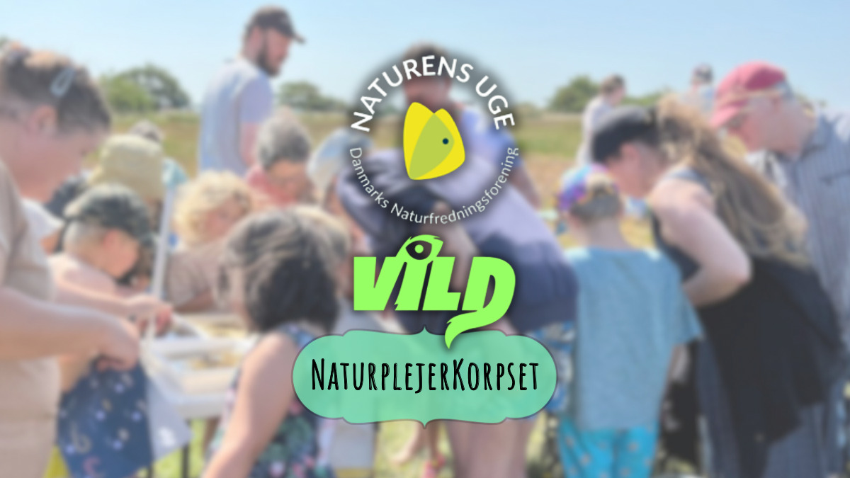 Udforsk naturen ved Højby Sø under Naturens Uge