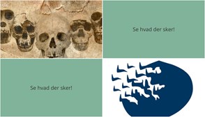 Spændende aktiviteter i Faxe: Fra evolutionære indsigter til flødebolleproduktion