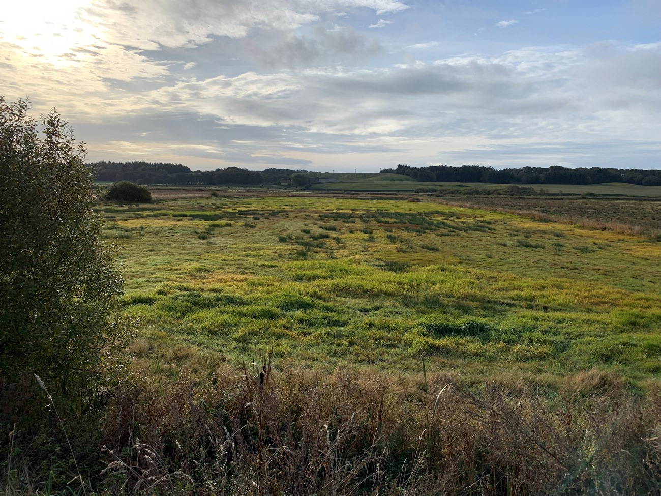 Millioner til forbedring af vandkvaliteten i østjyske fjorde