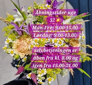 opslagsbillede