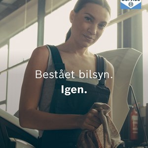 Opslagsbillede