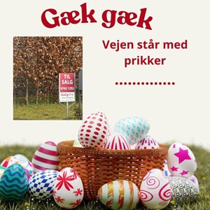 Opslagsbillede