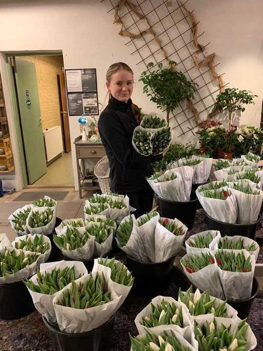 Det nyeste på Brønderslevs opslagstavle