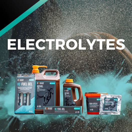 Horse Choice minder om vigtigheden af elektrolytter i varmen