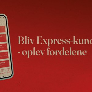 opslagsbillede