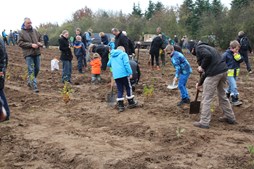 Nordskoven i Slagelse vokser med 112 hektar og 230.000 nye træer