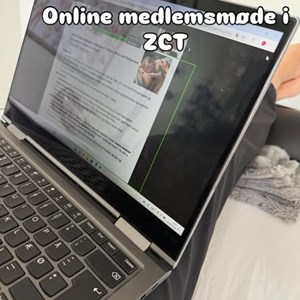 Opslagsbillede
