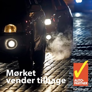 opslagsbillede