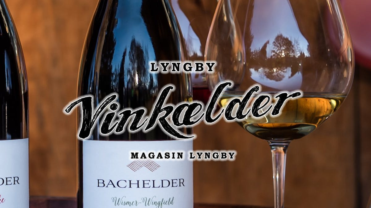 Eksklusiv vinsmagning med Thomas Bachelder i Lyngby Vinkælder