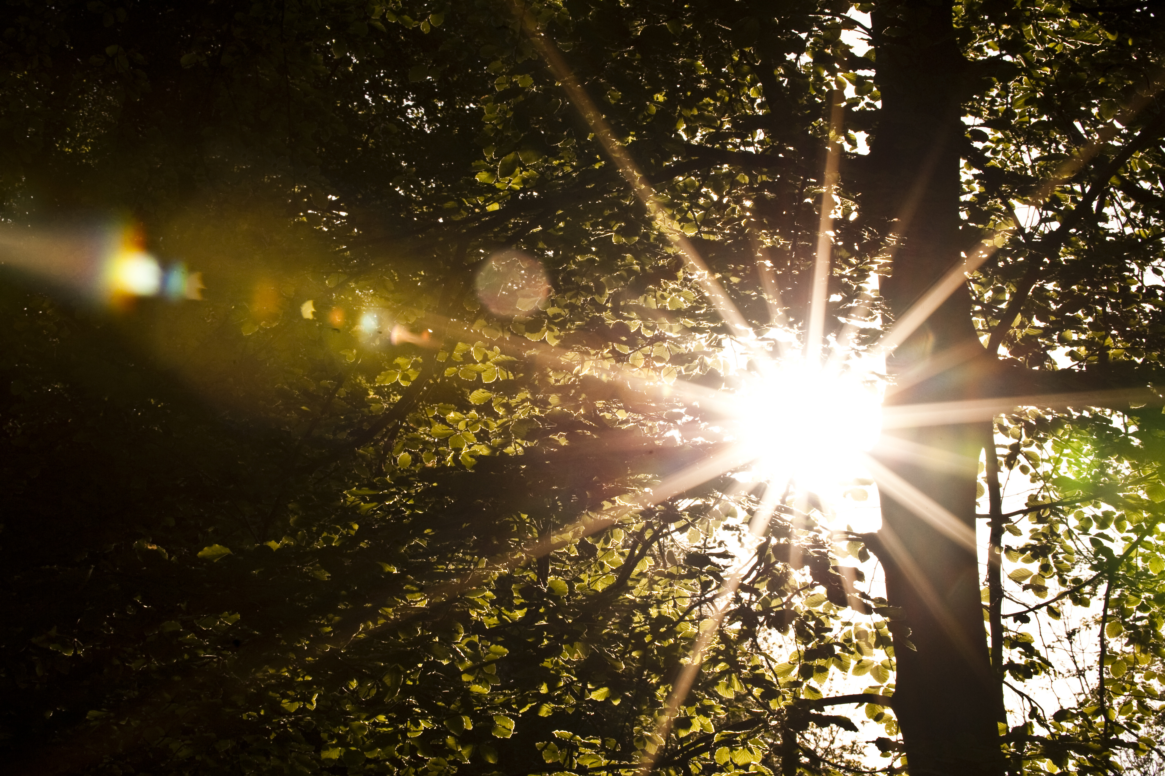 Del helligdage og weekender med Højtidsgruppen i Tarup