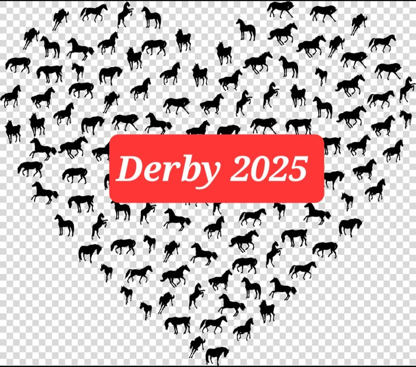 BioCirc Trav Arena Skive ønsker held og lykke til deltagere ved Derby på Lunden