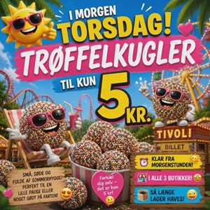 opslagsbillede
